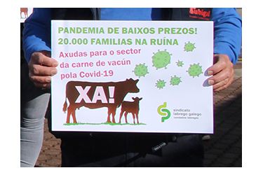 Concentración vacún de carne