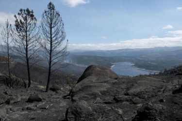 Monte queimado