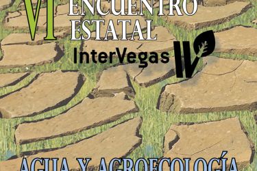 Encontro Intervegas VI
