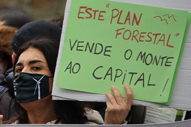 Por un monte galego con futuro