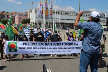 Manifestación PAC Lisboa