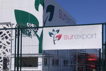 Surexport