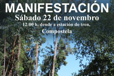 Manifestación ORGACCMM