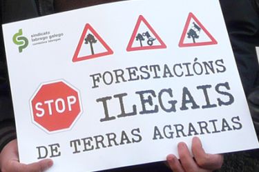 Non á forestación