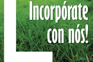 Incorpórate con nós
