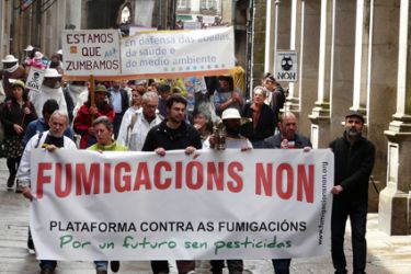 Non ás fumigacións