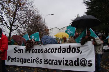 manifestación pataca 2008