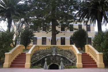 Pedro Murias