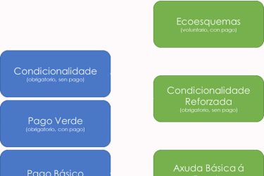 Esquema PAC