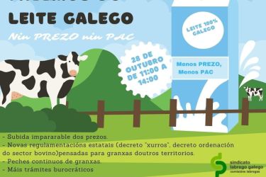 Lugo28-out