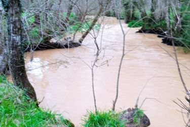 Concello de Frades