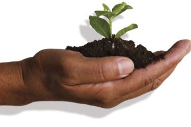 agricultura labrega, alimentación humana