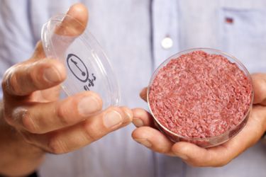 Hamburguesa sintética