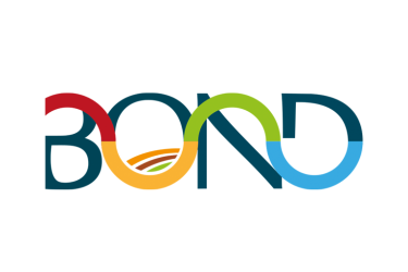 Xornada BOND online