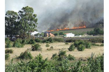 Incendio