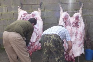 Matanza