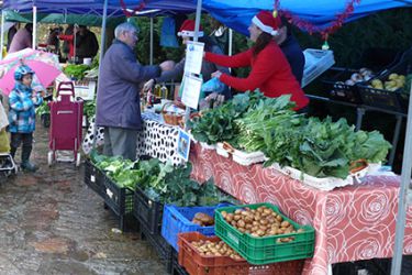 Mercado de Teo