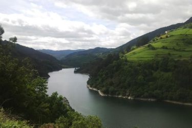 rionavia