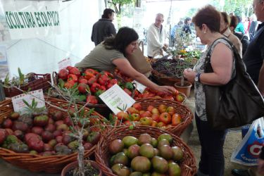 Mercado en Compostela