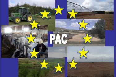 PAC