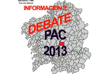 DEBATE INFORMATIVO PAC CHANTADA