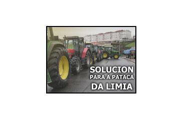 Pataca de semente