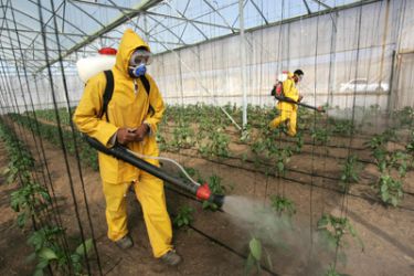 Pesticidas