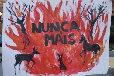 Imaxe do cartaz Lumes Nunca Máis