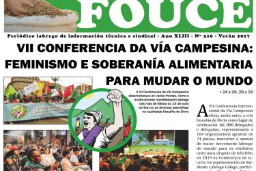Fouce 316