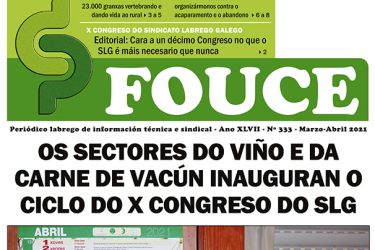 Fouce 333