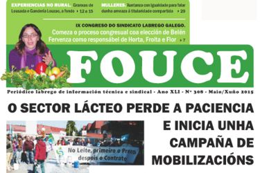 Fouce 308