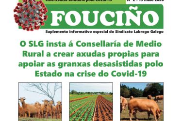 Fouciño covid 2