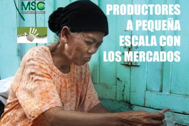 guía mercados locais