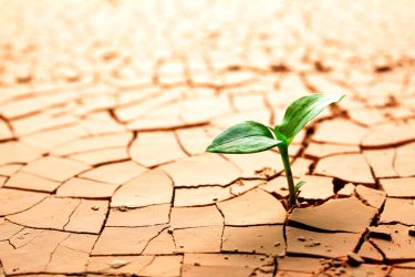 Resiliencia
