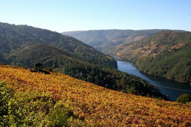 Ribeira Sacra