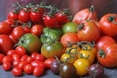 Tomates