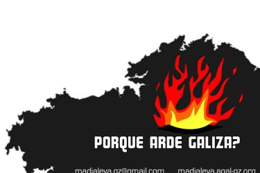 Palestra Madia Leva