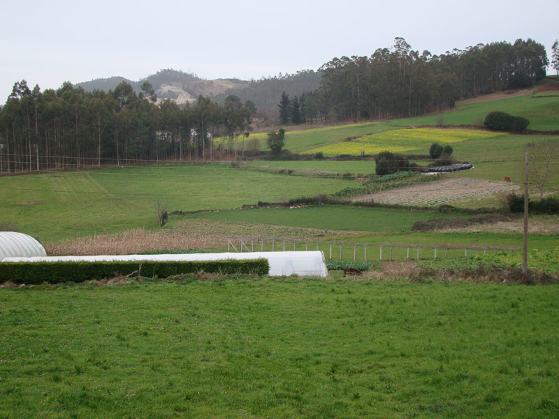 Paisaxe rural
